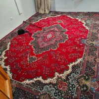 فرش لاکی ۱۲ متری|فرش|اصفهان, شهید رجایی|دیوار