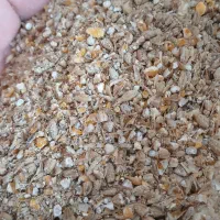 جوزرتدرجهیک|عمدهفروشی|مهران (ایلام), |دیوار