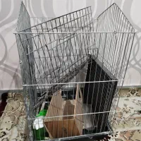 قفس پرنده|لوازم جانبی حیوانات|اسدآباد, |دیوار