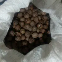 گردو سنگی پرچرب و خوشمزه