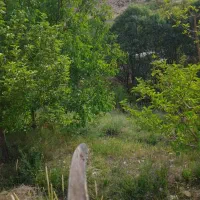 شریک سرمایه گذار در طرح گردشگری بوم گردی واسکان|مشارکت در ساخت املاک|شیراز, شهرک گلستان|دیوار