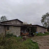 گاوداری-صنعتی-رشت-به-فومن-حومه-ملاسرا