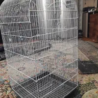 قفس کاسکویی