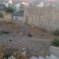 زمین-فروشی-سند-تک-برگی