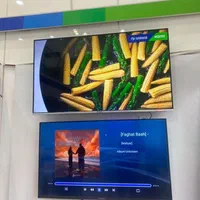 تلوزیون LEDال ای دی 55اینچ اسنوا 4k -تخفیف پرسنلی