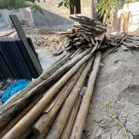 تیر چوبی ، قطر حدو ۱۵ سانت