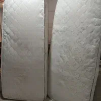 دوتا تشک نوجوان بسیار تمیز