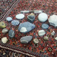 سنگ فسیل|کلکسیون اشیاء عتیقه|زنجان, |دیوار