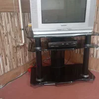 تلویزیون
