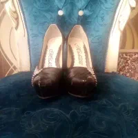 کفش مجلسی
