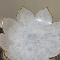 ظروف پذیرایی رزینی