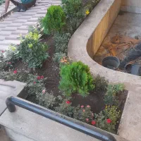 خدمات باغبانی وگلکاری در تمام نقاط تهران وکرج