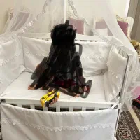 تخت مادر و کودک