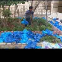 خدمات باغبانی باغچه کاری گلکاری کاشت گل وگیا خاک|خدمات باغبانی و درختکاری|شهریار, شهرک وائین|دیوار