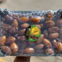 عرضه انواع خرما و رطب به صورت عمده و جزئی
