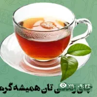 کار در منزل با گوشی
