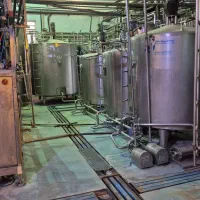 فروش پنیر اولیه و ریکوتا و خامه