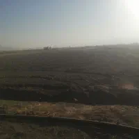 اجاره10000مترزمین کشاورزی کفترک