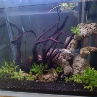 فروش آکواریوم