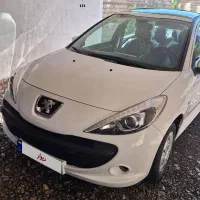 207 پاناروما ارتقا یافته خشک