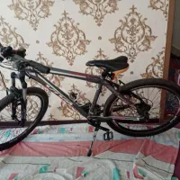 دوچرخه ویوا 26