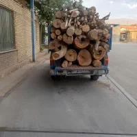 خرید کنده درخت و چوب سقفی|خدمات باغبانی و درختکاری|نیشابور, تریا پارک|دیوار