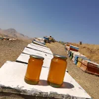 عسل اصل