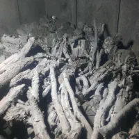 فروش زغال کبابی ((ج ن گ ل ی)