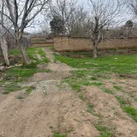 زمین-داخل-بافت-زیاران