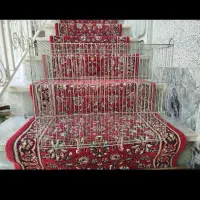 قفس و لونه طوطی سانان