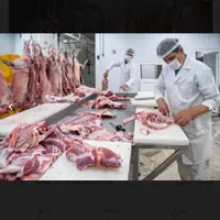 کارخانه سوله بسته بندی انواع گوشت دام،طیور وماهی|فروش دفتر صنعتی، کشاورزی، تجاری|تهران, آهنگ|دیوار