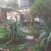 انجام کلیه خدمات باغبانی|خدمات باغبانی و درختکاری|بندر ماهشهر, |دیوار