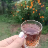 چای ملکه حاصل اعتماد شما