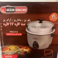 پلوپز ، بخار پز تایمردار