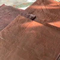 لواشک* امسالی با قیمت استثنایی