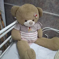 دکور اتلیه|صنایع دستی و سایر لوازم تزئینی|نیشابور, شهرک فیروزه|دیوار