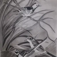 راهنمایی بفرمایید