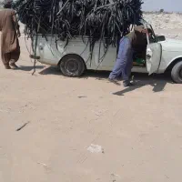 خرید نوارتیپ|خدمات پیشه و مهارت|رودبار (کرمان), |دیوار