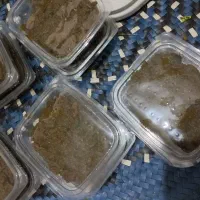 سبزی سرخ شده ترش واش