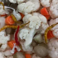 ترشی مخلوط. سیر.فلفل.لیته چرخ کرده.کلم شور|خوردنی و آشامیدنی|تهران, ابوذر|دیوار