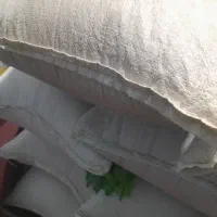 چلتوک چمپا کیلو ۲۰۰ ...