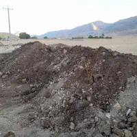 فروش کود گاوی