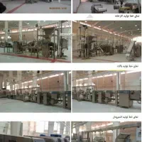 کارخانه صنایع غذایی آماده تولیدبامجوز بین المللی|فروش دفتر صنعتی، کشاورزی، تجاری|تهران, هاشم‌آباد|دیوار