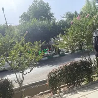 گمشده