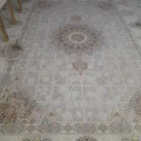 قالی ۹ متری|فرش|تربت‌حیدریه, بالا ولایت|دیوار