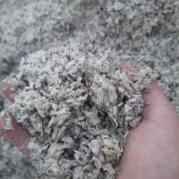 تفاله چغندر قند عالی و سفید