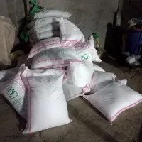 گندم دهدشت.کود سفید.کود فسفات ساده|خدمات باغبانی و درختکاری|سرپل ذهاب, |دیوار