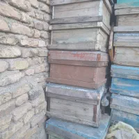 کندوی خالی زنبور