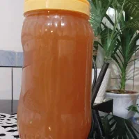 آبغوره طبیعی