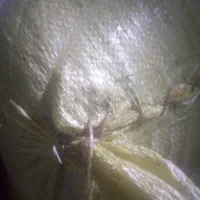جو‌هاشمی‌خشک